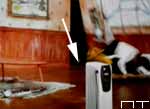 Дом Большой мамочки 2