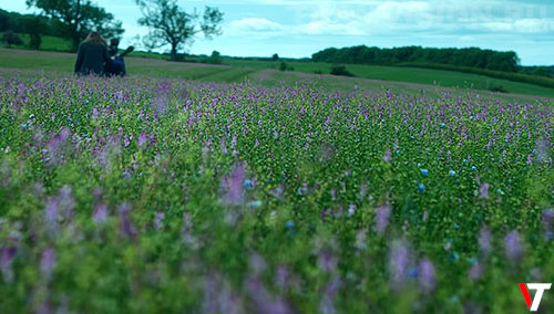 ������� � ������ �� 28 ��� ������