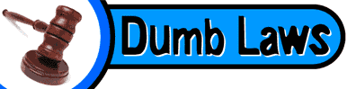 DumbLaws website