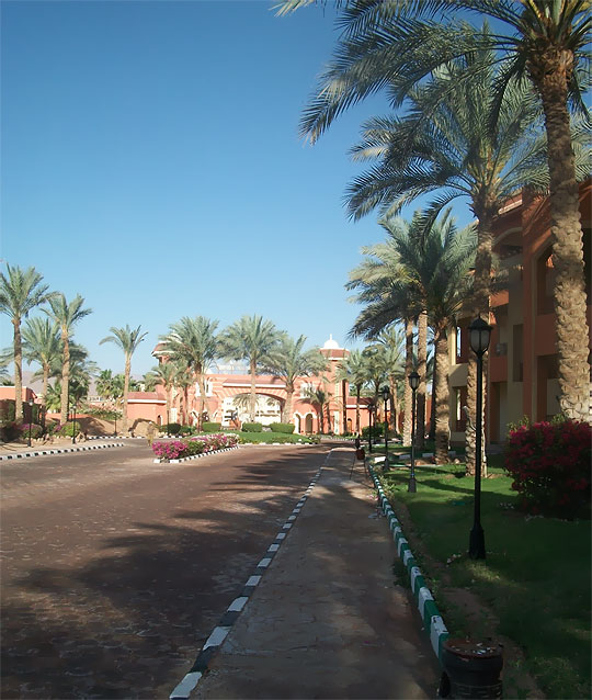 Фото отеля Regency Plaza