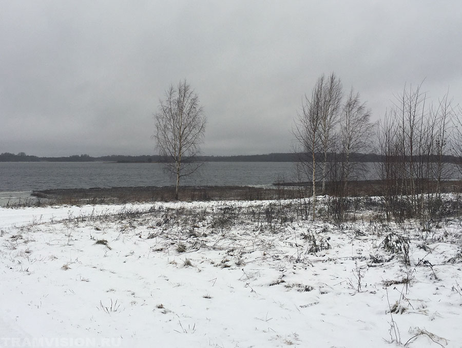 Соинское озеро Пустошкинский район