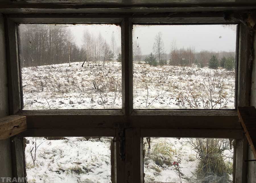 Дом